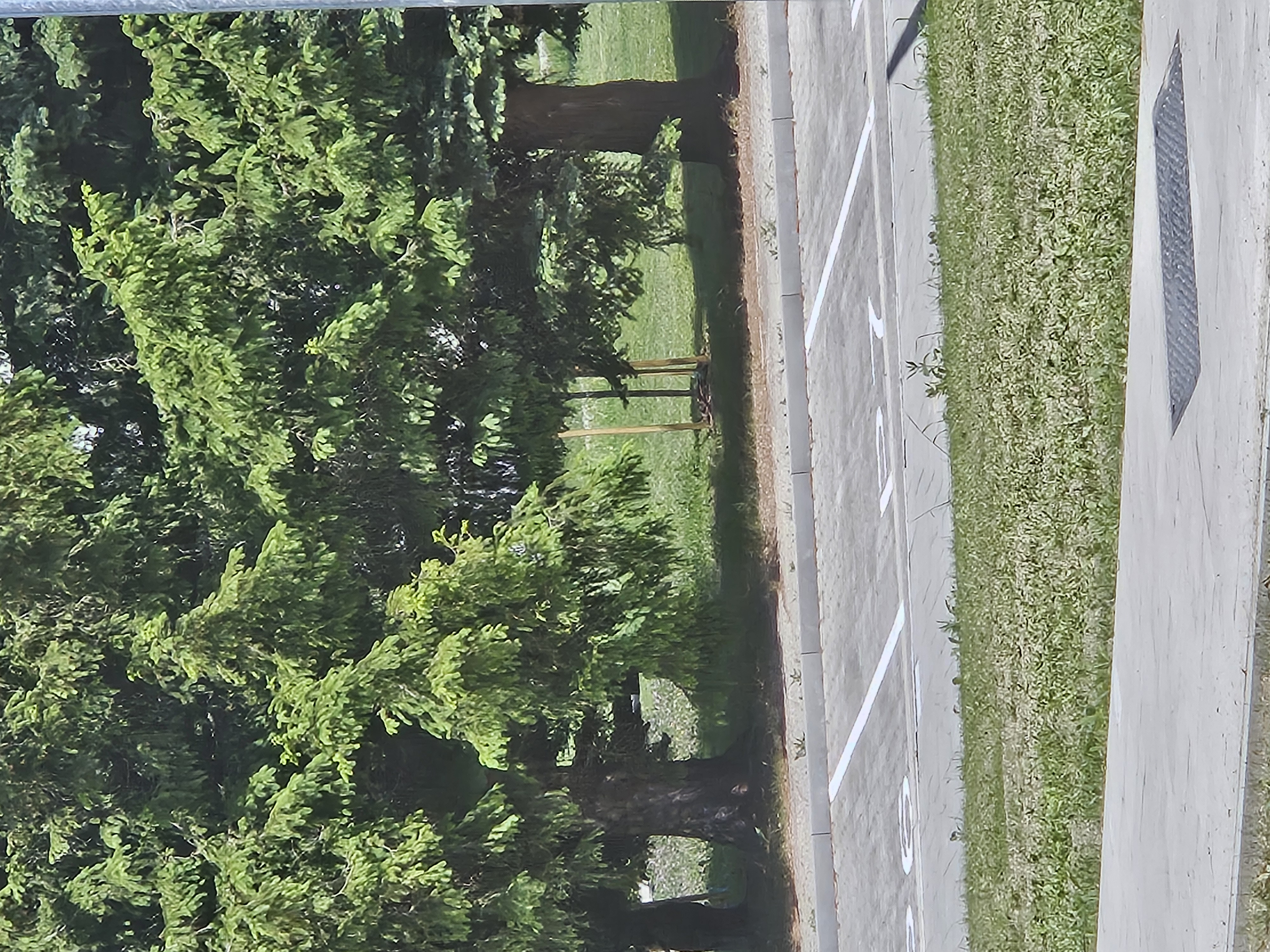 Apartmán C3 - obrázok 16